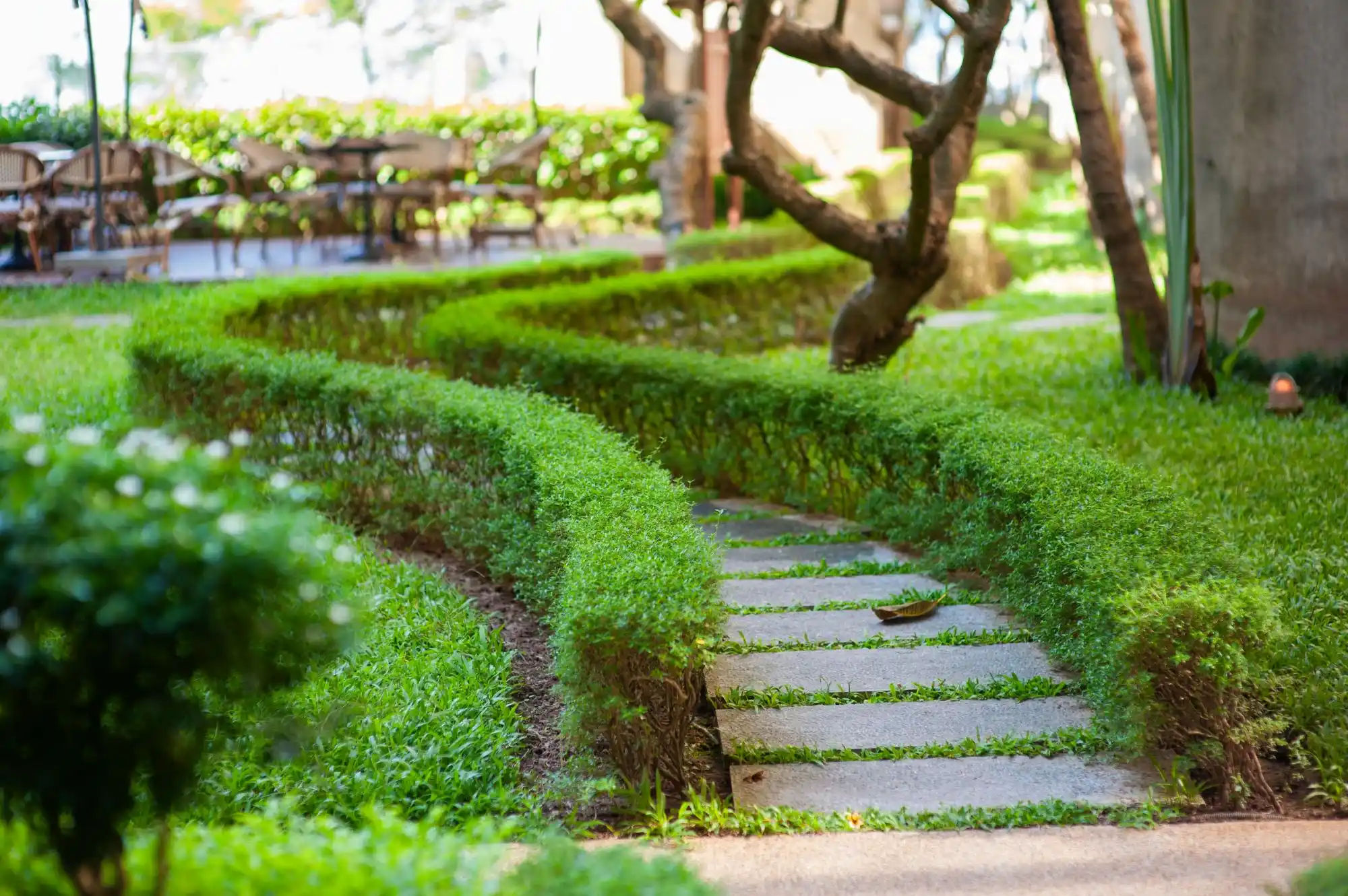 洋書　product as landscape ZXT Landscapes | Landscaping Services Gauteng